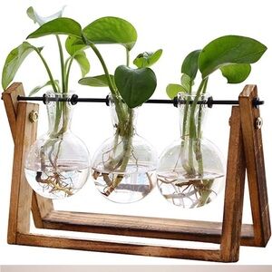 Hydroponic Planters on Wooden Stand